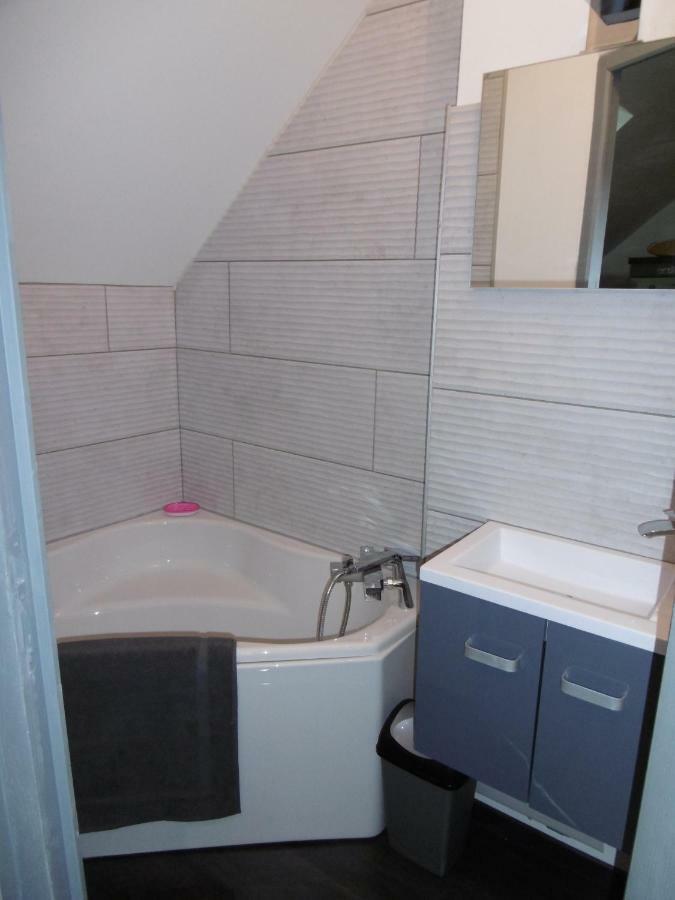 Le Petit Domaine Des Aubuis Apartment Шинон Екстериор снимка